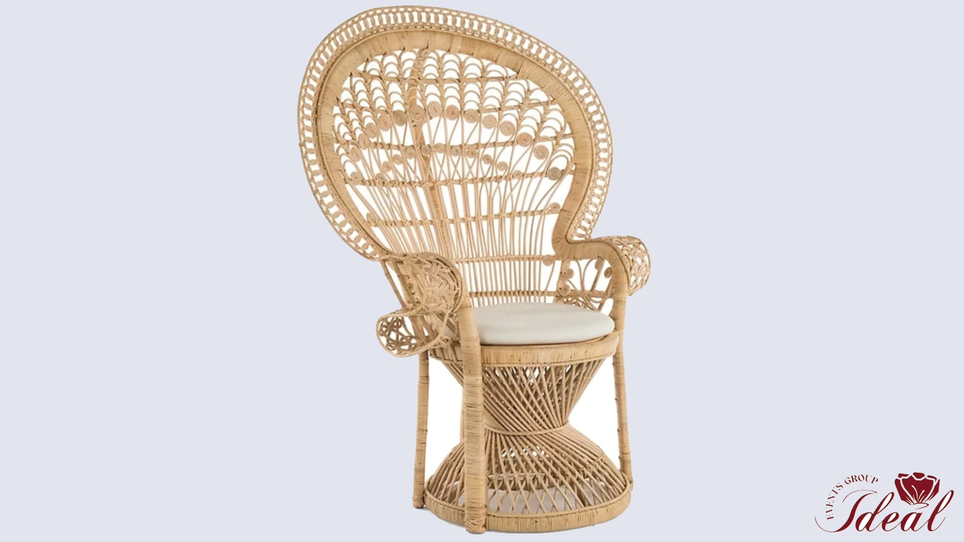 Peacock Chair view 2